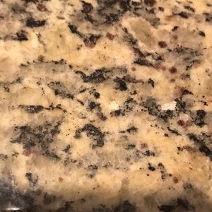 Meet your Posher, Abigail